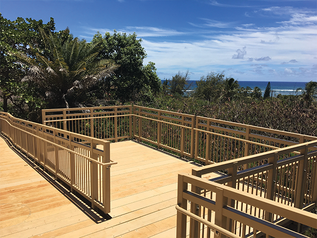 Dynaplank Boardwalk Plank Observation Deck